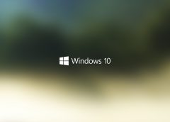 Tip: Fix Windows 10 empty search results